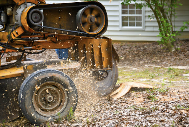 stump grinding monroe ny